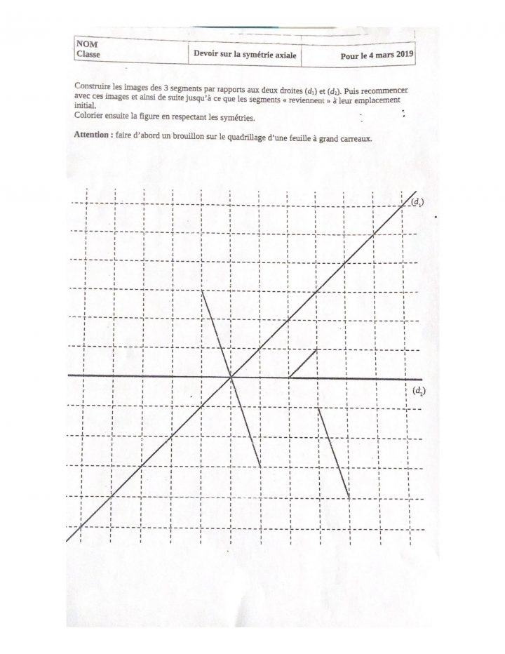 Dm Symétrie Axiale 5Ème [6 Réponses] : ✎ Collège Et intérieur Symétrie Quadrillage