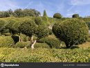 Dordogne France September 2018 Topiary Gardens Jardins dedans Region De France 2018