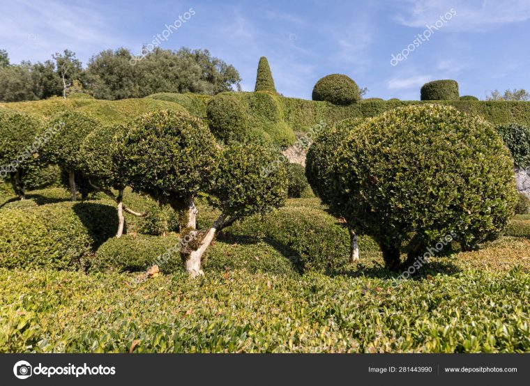 Dordogne France September 2018 Topiary Gardens Jardins dedans Region De France 2018