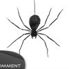 Draw A Spider Man / Comment Dessiner Une Araignée intérieur Dessin Toile Araignée