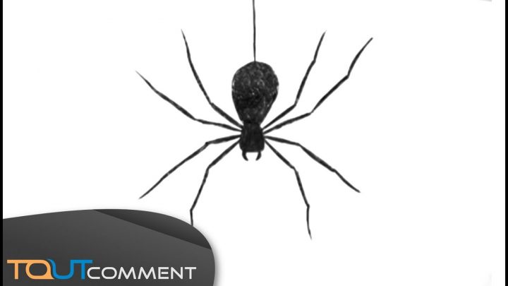 Draw A Spider Man / Comment Dessiner Une Araignée tout Dessiner Une Araignee