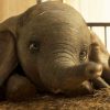 Dumbo : Comment La Version De Tim Burton Différera Du Film encequiconcerne Dessin Dumbo