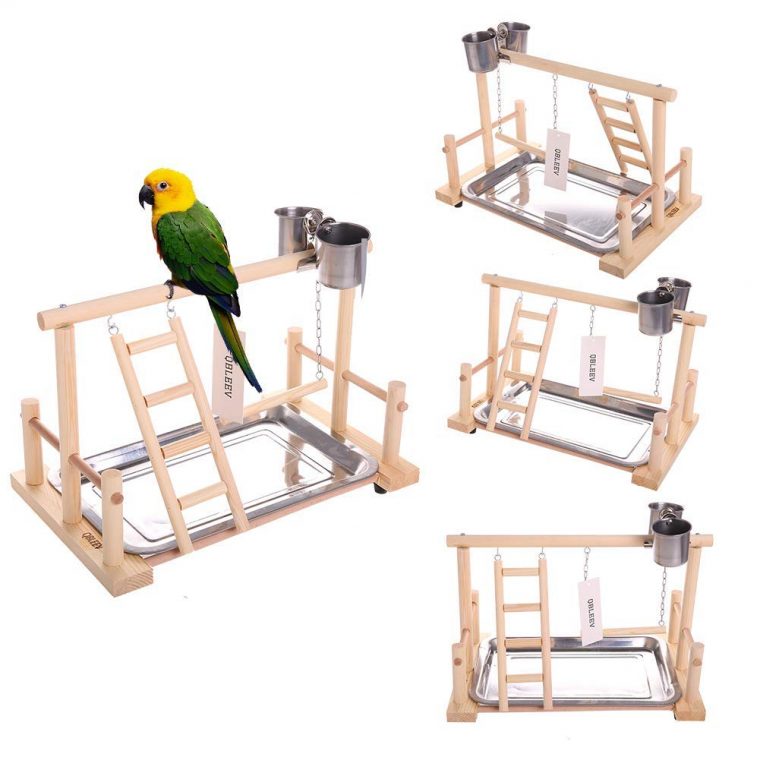 €16.71 39% De Réduction|Perroquets Playstand Oiseau Aire De Jeux Bois  Perche Gym Stand Parc Échelle Jouets Exercice Playgym Conure  Lovebirds|Perchoirs destiné Jeux De L Oiseau