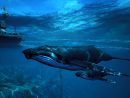 E3 2018 : Incarnez Un Requin Mangeur D'hommes Avec Maneater ! encequiconcerne Requin Jeux Video