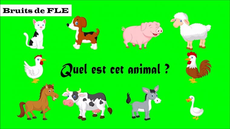 【Bruits De Fle】 Quel Est Cet Animal ? (Les Animaux Domestiques) à Jeu Cri Des Animaux