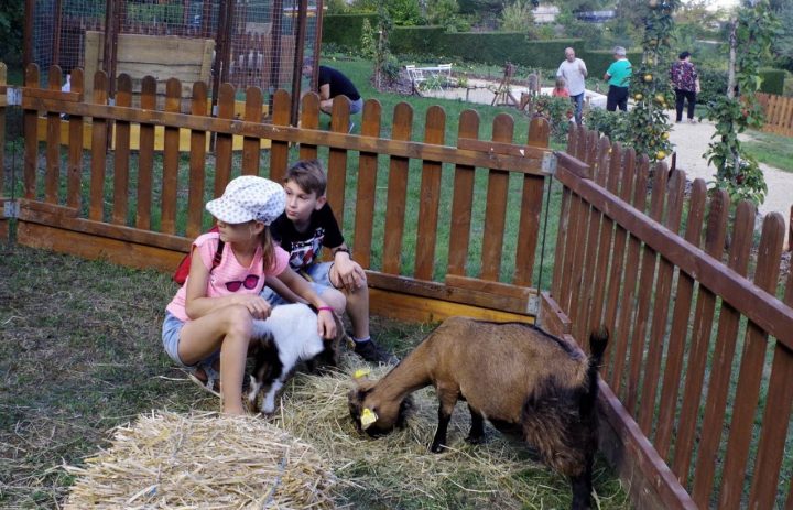 Edition Bar Le Duc | Animaux De La Ferme Et Jeux D'antan Au Clos à Jeux D Animaux De La Ferme