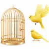 Ensemble De Cage D'or Des Canaries - Telecharger serapportantà Dessin De Cage D Oiseau