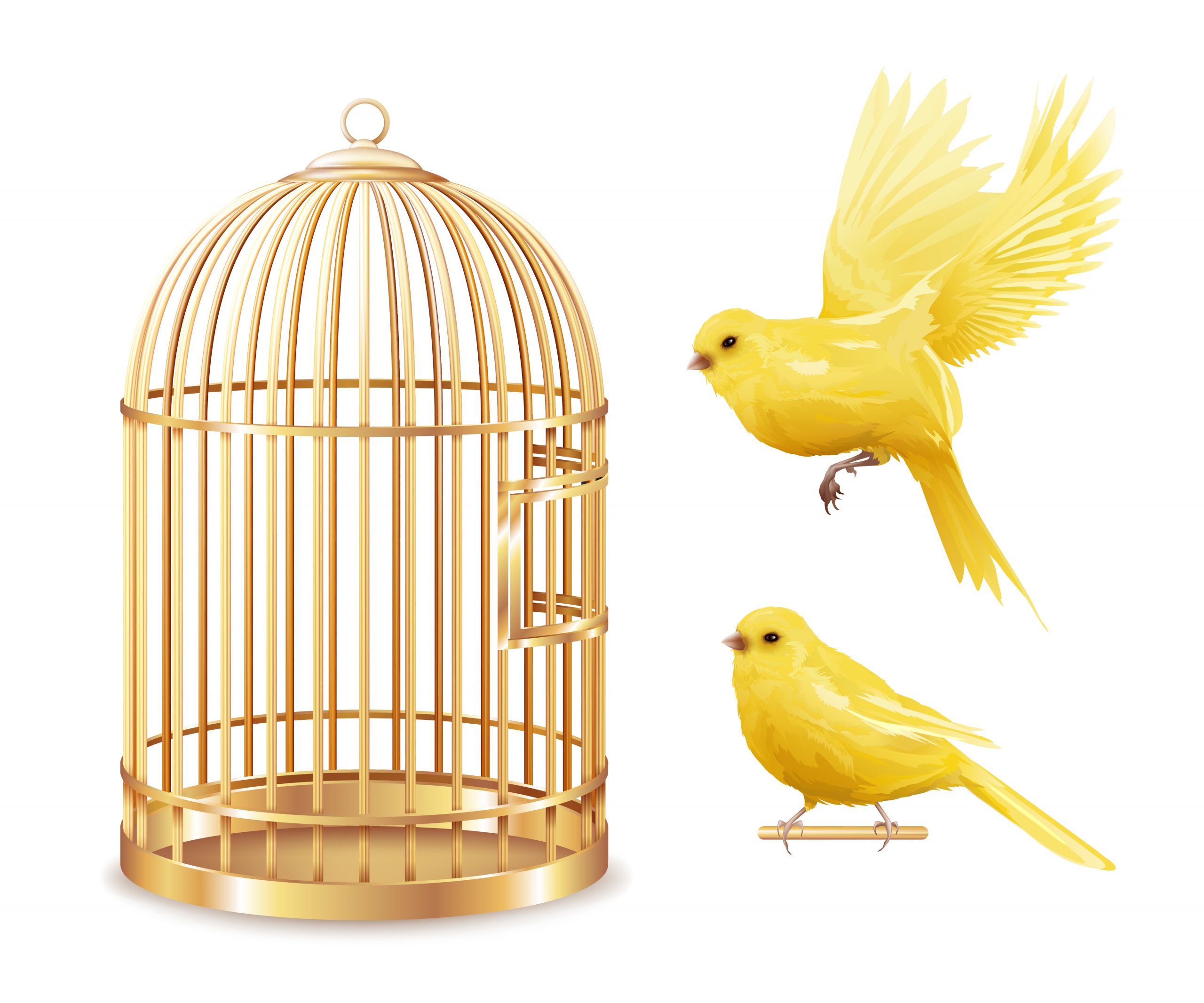 Ensemble De Cage D'or Des Canaries - Telecharger serapportantà Dessin De Cage D Oiseau
