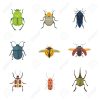 Ensemble D'icônes Design Plat Insectes Style Vectoriel. Collection De  L'illustration De Dessin Animé De Scarabée Nature Et Zoologie Isolé avec Dessin Scarabée