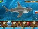 Ep 1 Sur Un Jeux De Requin concernant Jeux Gratuit Requin Blanc