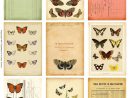 Ephemera's Vintage Garden: Free Weekly Printable: Butterfly serapportantà Etiquette Papillon A Imprimer
