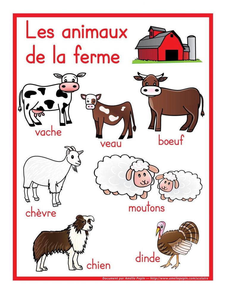 Épinglé Par Isabelle Bouchard Sur Animaux Ferme | Animaux De destiné Les Animaux Domestiques En Maternelle