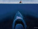 Épinglé Par Steph Chris Sur Wallpaper | Fond Ecran Drole tout Jeux Gratuit Requin Blanc