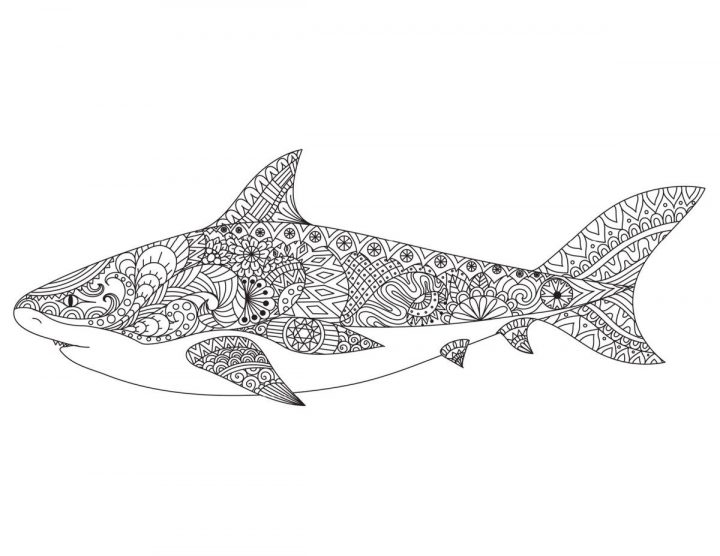 Épinglé Sur Mandala dedans Coloriage Requin Blanc Imprimer