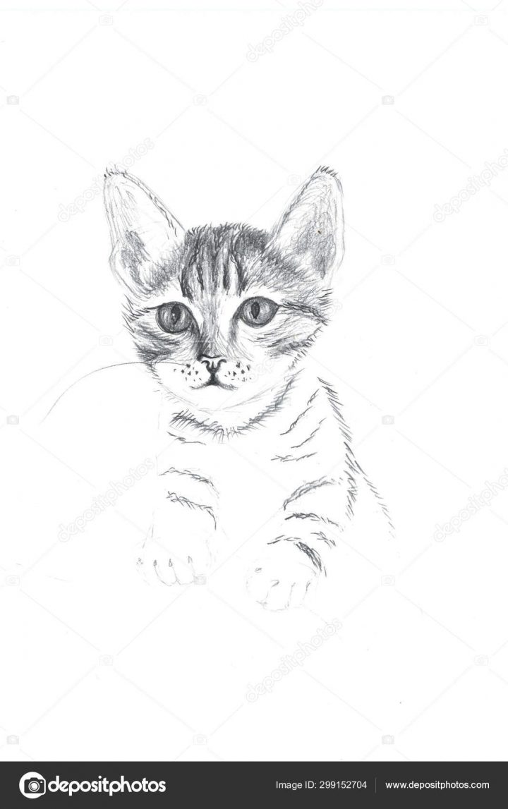 Esquisse Inachevée Chat Faite Avec Crayon Dessin Main Dans tout Minou Dessin