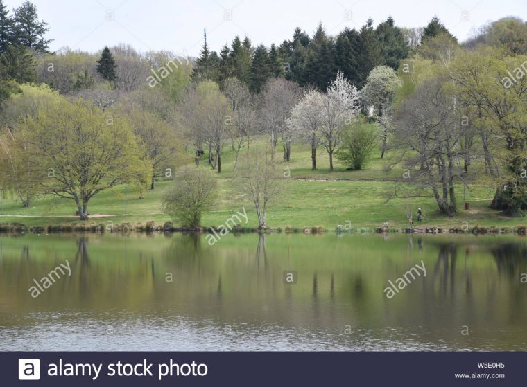 Etang De Courtille, Gueret In La Creuse Department In The serapportantà Nouvelle Region France