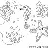 Étoiles De Mer Dessin – Animal Gratuits À Imprimer - Animaux à Coloriage Sur La Mer À Imprimer
