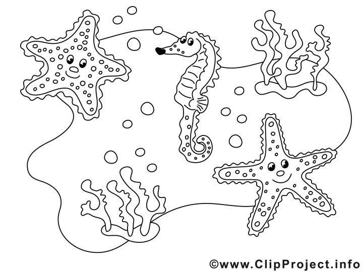 Étoiles De Mer Dessin – Animal Gratuits À Imprimer – Animaux à Coloriage Sur La Mer À Imprimer