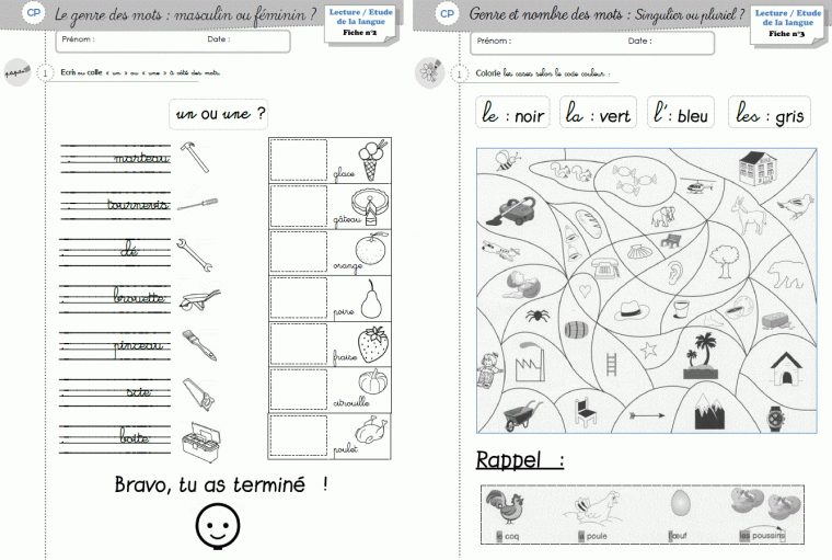 Etude De La Langue Cp – Le Genre Et Le Nombre – Cycle 2 concernant Coloriage Magique Français Cp