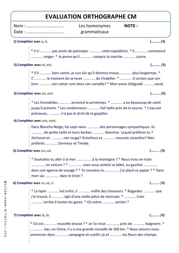 Evaluation Orthographe Homonymes Grammaticaux – Bout De encequiconcerne Exercice Cm1 Gratuit