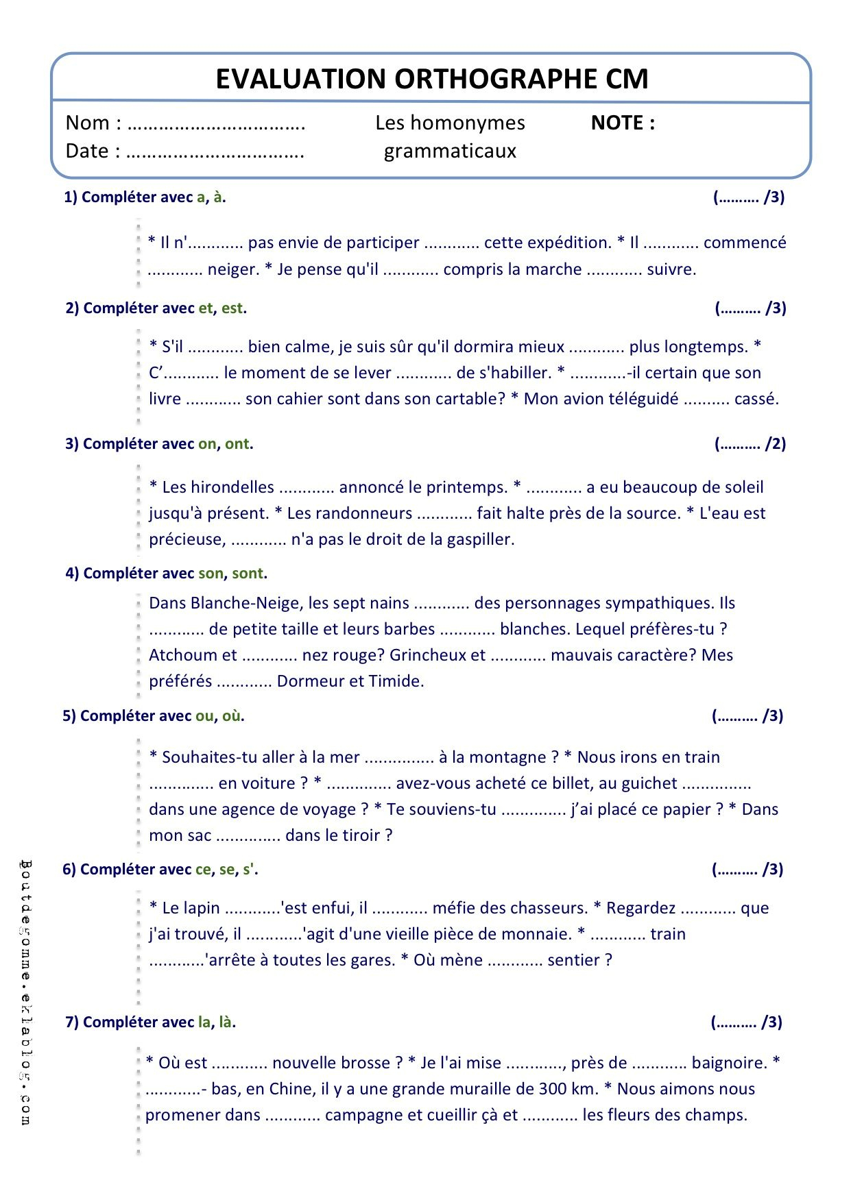 Evaluation Orthographe Homonymes Grammaticaux - Bout De encequiconcerne Exercice Cm1 Gratuit 