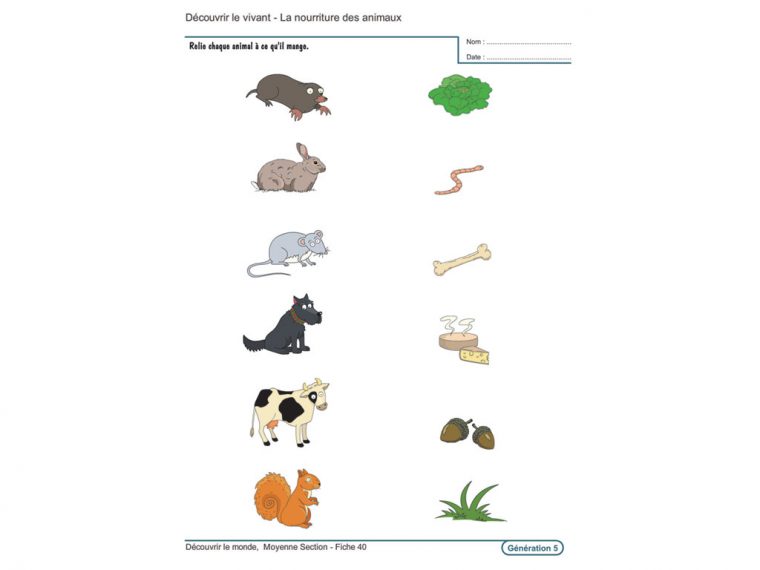 Evolu Fiches – Découvrir Le Monde En Moyenne Section dedans Exercice Maternelle Moyenne Section