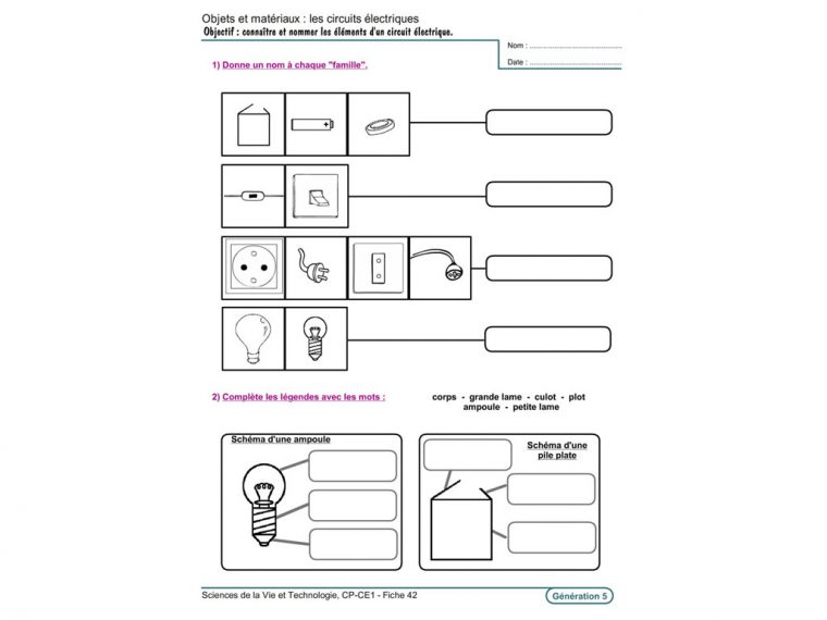 Evolu Fiches – Sciences De La Vie Et Technologie Cp-Ce1 à Travail De Cp A Imprimer Gratuit