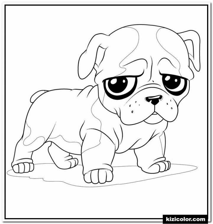 🎨 Bouledogue Bebe Chiot – Des Pages À Colorier Imprimables à Coloriage De Chiot A Imprimer