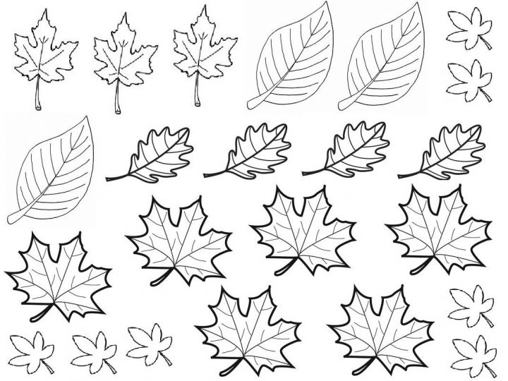 Feuilles D Automne À Imprimer En Ce Qui Concerne Dessiner avec Dessin De Feuille D Arbre À Imprimer