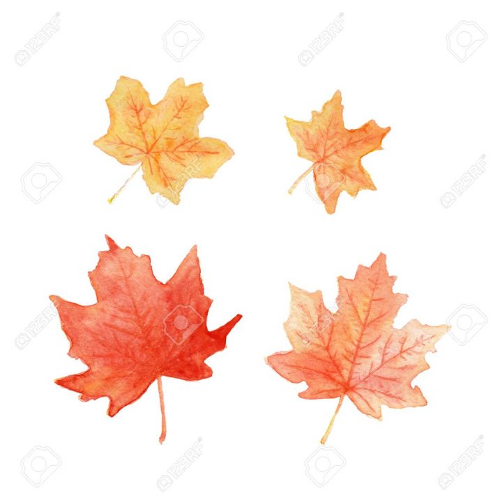 Feuilles D'automne De Couleur Érable À L'aquarelle à Dessin De Feuille D Automne