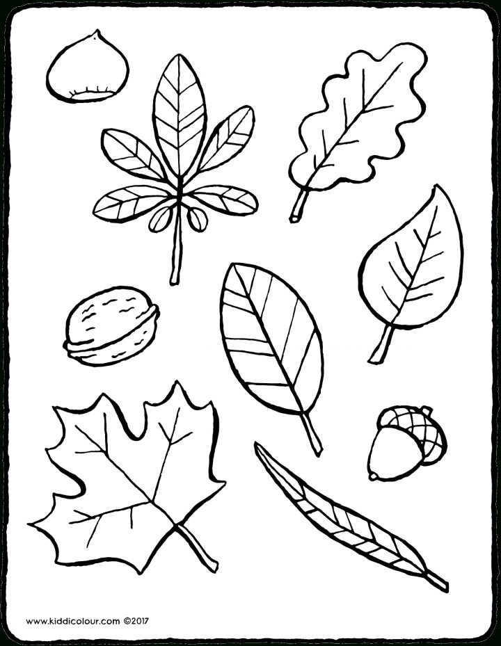 Feuilles D'automne – Kiddicoloriage destiné Dessin De Feuille D Arbre À Imprimer