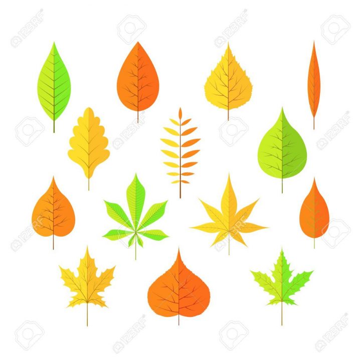 Feuilles D'automne Sur Un Fond Blanc Isolé Dessin Animé Dans Le Vecteur Eps  10. intérieur Dessin De Feuille D Automne