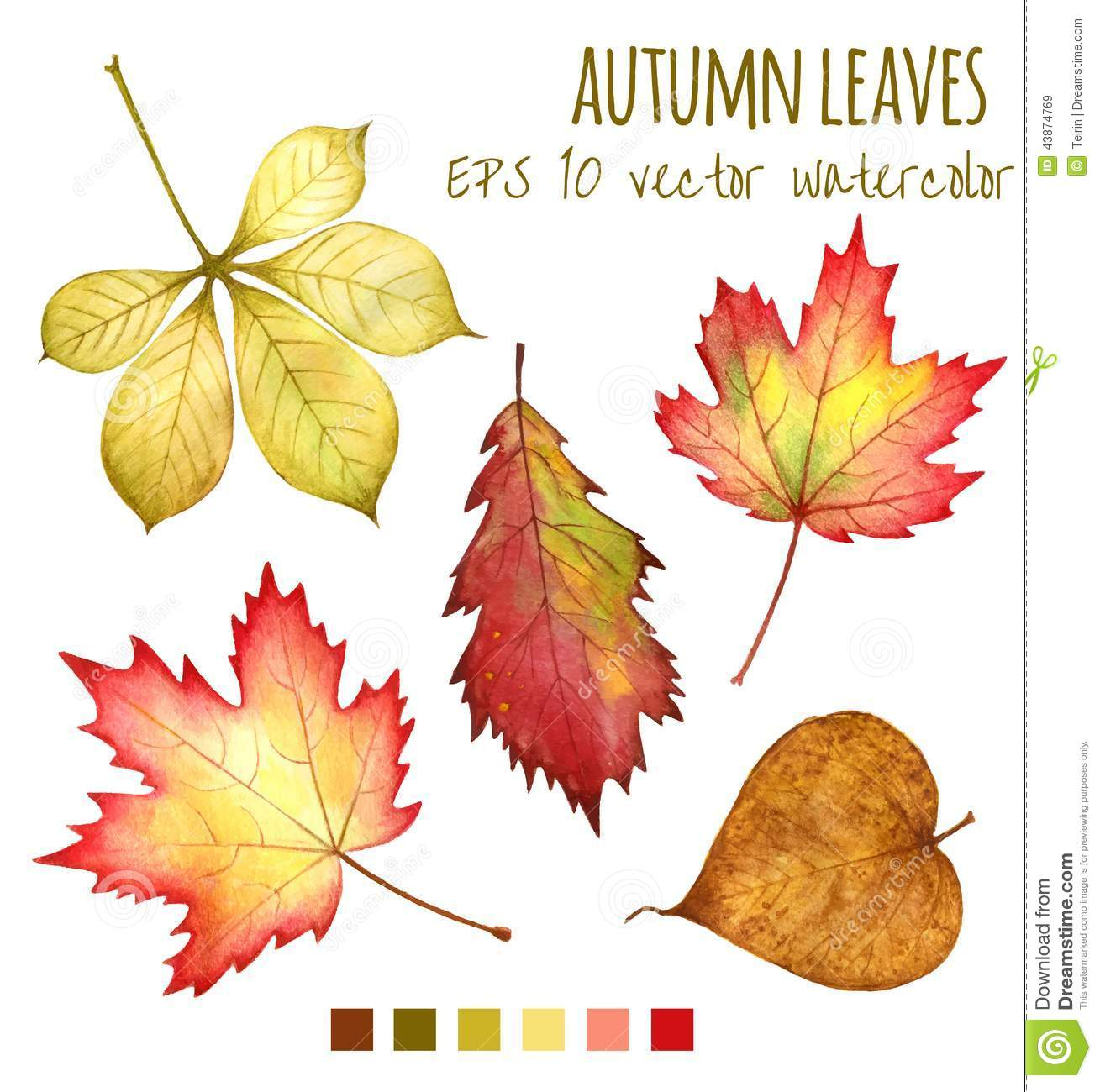 Feuilles D'automne Une Couleur D'eau Sur Un Fond Blanc pour Dessin De Feuille D Automne