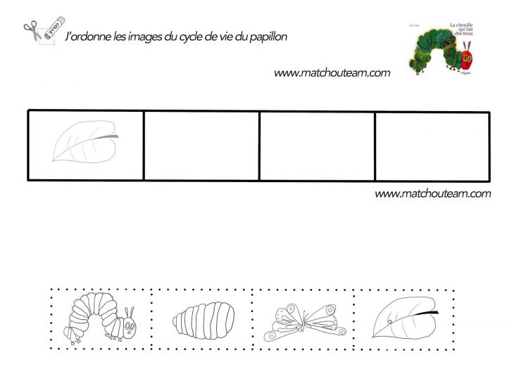 Fiches À Imprimer Pour L'album "la Chenille Qui Fait Des serapportantà Cycle De Vie D Une Chenille