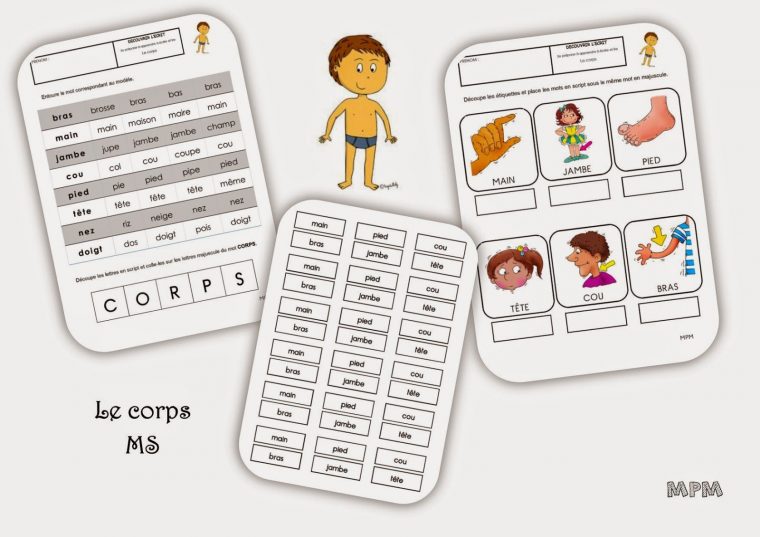 Fiches De Travail Ms – Le Corps | Corps tout Le Corps Humain En Maternelle