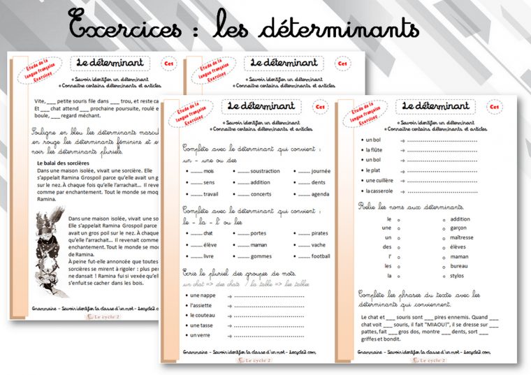 Fiches D'écercices Sur Les Déterminants – Grammaire Ce1 avec Fiche Français Ce1 Imprimer