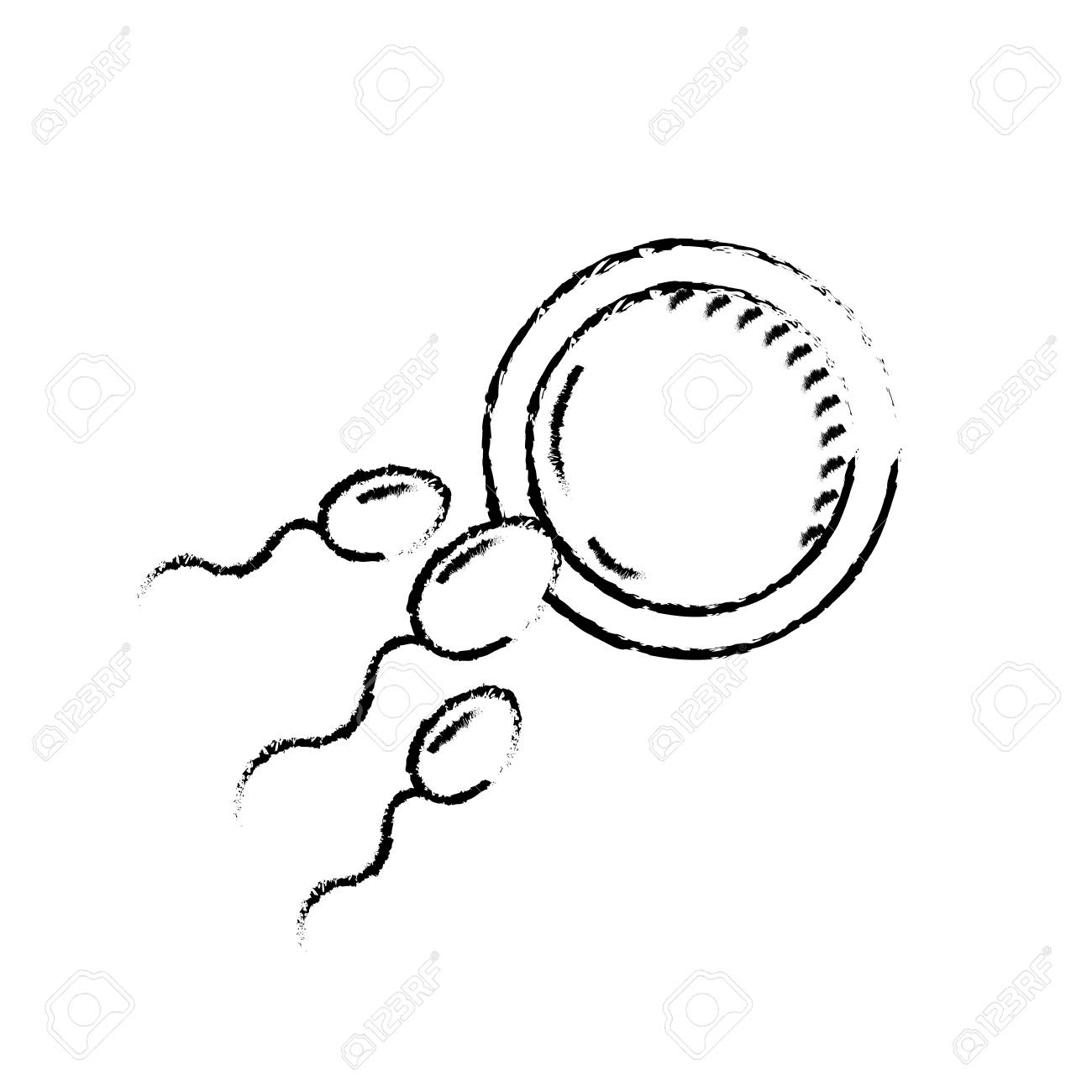 Figure Fertility Reproduction Of Ovum And Spermatozoon avec Reproduire Une Figure