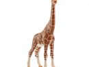 Figurine De Jeu - Girafe, Femelle destiné Jeux De Girafe Gratuit