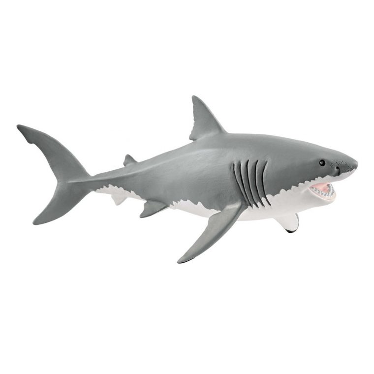 Figurine Requin Blanc concernant Voiture Requin Jouet