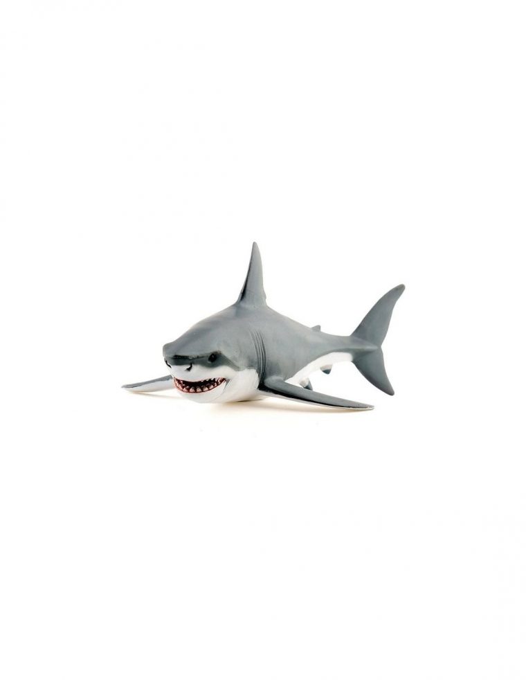 Figurine Requin Blanc – Papo avec Jeu De Societe Requin