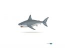 Figurine Requin Blanc pour Jeux Gratuit Requin Blanc