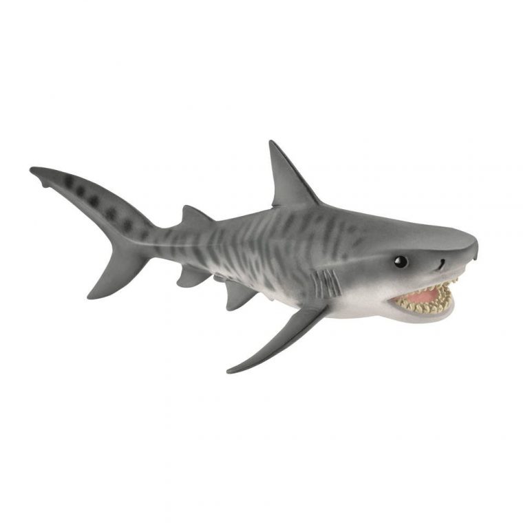 Figurine Requin Tigre | Figurines | Jouéclub dedans Jeux Gratuit Requin Blanc