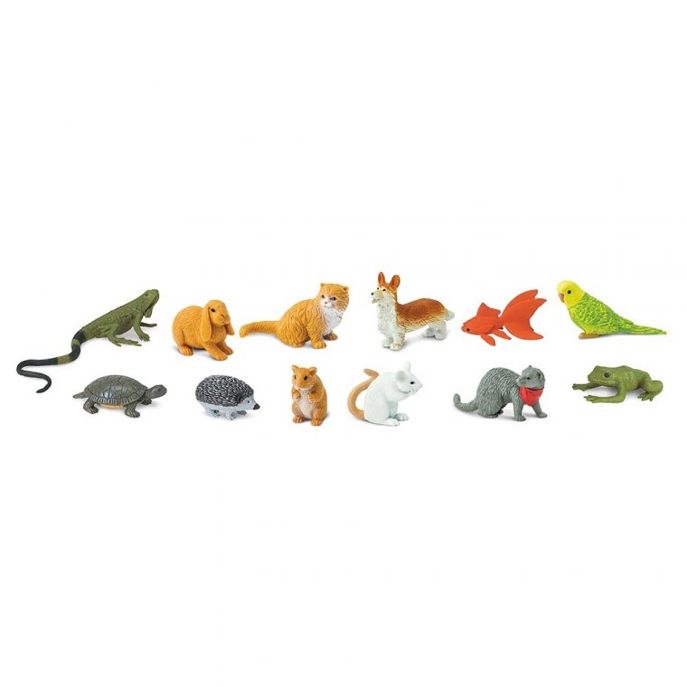 Figurines Animaux De Compagnie encequiconcerne Les Animaux Domestiques En Maternelle