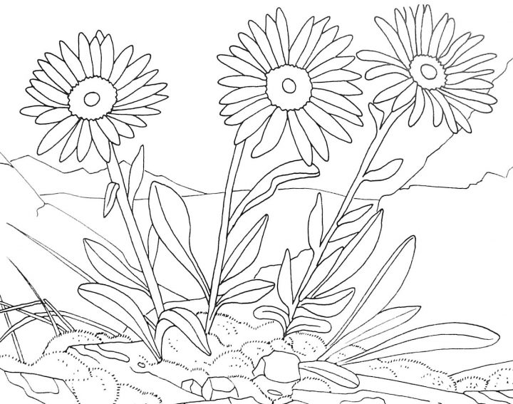 Fleurs #141 (Nature) – Coloriages À Imprimer intérieur Dessin A Colorier De Fleur