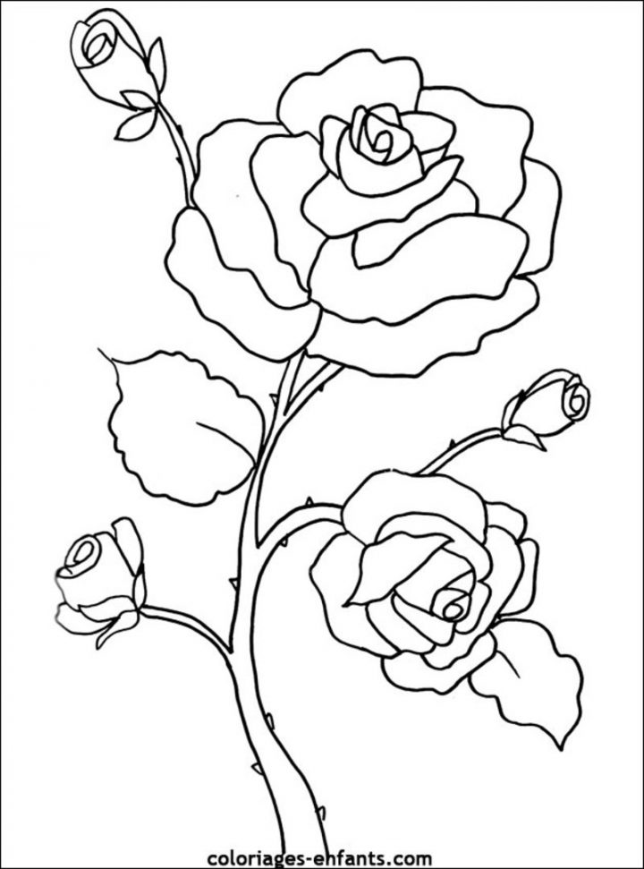 Fleurs (Nature) – Page 2 – Coloriages À Imprimer destiné Dessin A Colorier De Fleur