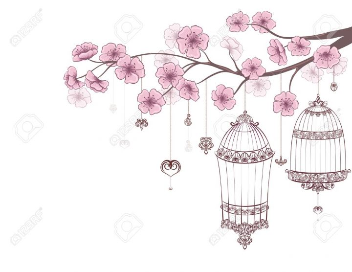 Fond Floral De Printemps. Cages D'oiseaux Sur Une Branche De Cerisier En  Fleur Isolé Sur Un Blanc. tout Dessin De Cage D Oiseau