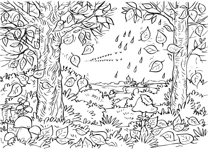 Forêt #32 (Nature) – Coloriages À Imprimer concernant Dessin De Foret