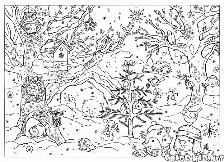 Forêt #36 (Nature) – Coloriages À Imprimer destiné Dessin De Foret