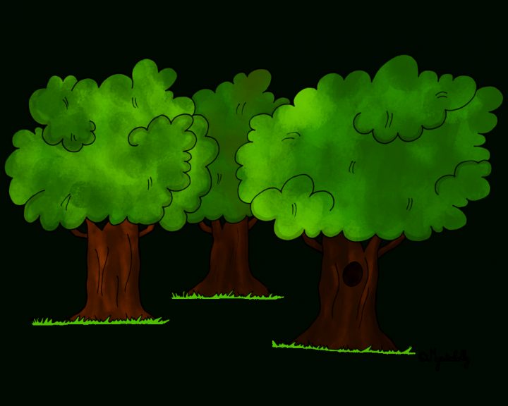 Foret Dessin Png 3 » Png Image avec Dessin De Foret