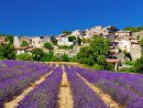 France, Aquitaine Region – Prospective Study Of Tourism destiné Region De France 2018